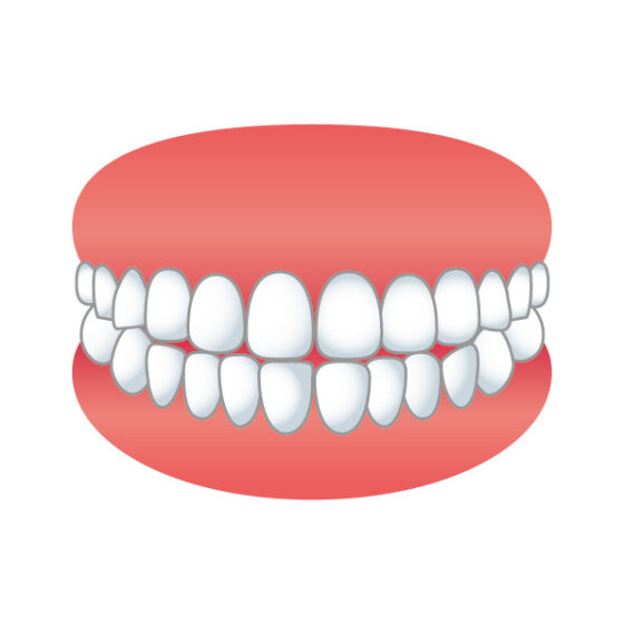 歯　1